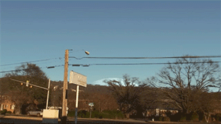 Jupiter View From Earth GIF