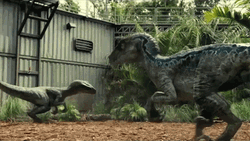 Jurassic World Alarmed GIF