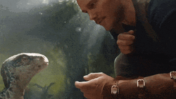 Jurassic World Baby Dinosaur GIF