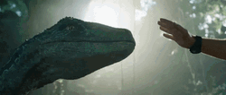Jurassic World Reaching A Dinosaur GIF
