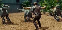 Jurassic World Taming GIF