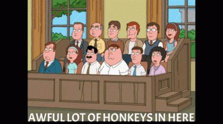 Jury Duty Peter Griffin Family Guy GIF