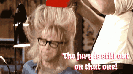 Jury Duty Wayne's World Garth Algar GIF