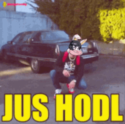 Jus Hodl GIF