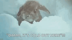 Just A Bit Cold Outside Out Here GIF