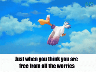 Just A Bit Outside Falling Bird GIF