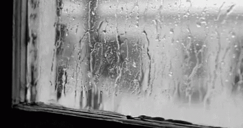 Just A Bit Rainy Outside GIF