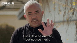 Just A Little Bit Excites But Not Too Much GIF