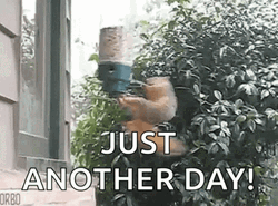 Just Another Day Spinning Squirrel Meme GIF
