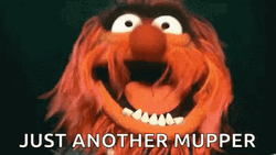 Just Another Muppets Animal GIF