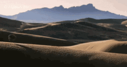Just Balling Around The Desert GIF