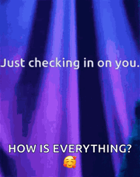 Just Checking In How Is Everything GIF