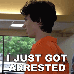 Just Got Arrested GIF