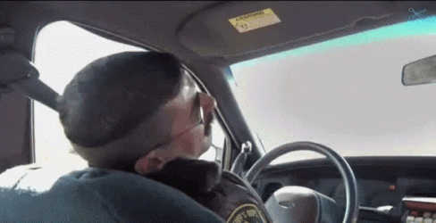 Just Had Weirdest Dream Reno 911 GIF