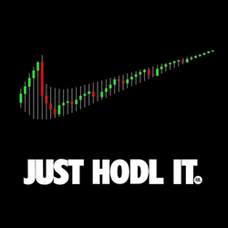 Just Hodl It Poster GIF