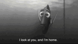 Just Keep Swimming I Look At You I'm Home GIF