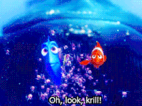 Just Keep Swimming Oh Look Krill GIF