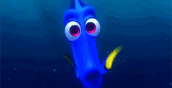 Just Keep Swimming Persistent Wide Eyes  GIF