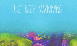 Just Keep Swimming Quotes Nemo Corals GIF