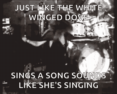Just Like The White Winged Dove Sings A Song Sounds Like She Is Singing Poster GIF