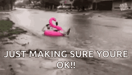 Just Making Sure You're Safe From Flooding GIF