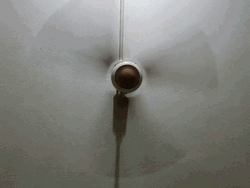 Just One Fan To Stay Cool GIF