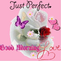 Just Perfect Blessed Good Morning Wednesday GIF