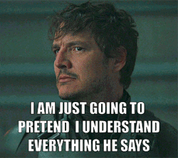 Just Pretend I Understood Everything He Say GIF
