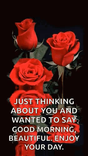 Just Thinking About You And Wanted To Say Good Morning , Beautiful . Enjoy Your Day GIF