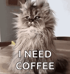 Just Waking Up I Need Coffee GIF
