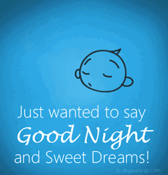 Just Wanted To Say Have A Good Night GIF