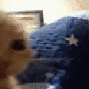 Just Woke Up Huh Cat Meme GIF