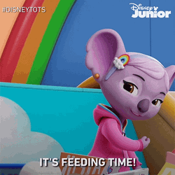 K.C The Koala Lunch Time Feeding  GIF