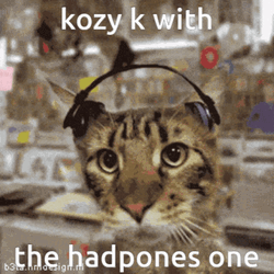K Cat With Headphones GIF