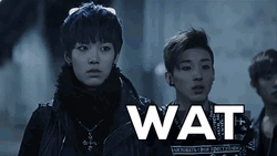 K-Pop Idols Wat GIF