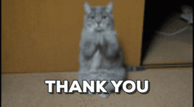 Kagebros Cake Stuart Little Vs Remy Ratatouille GIF