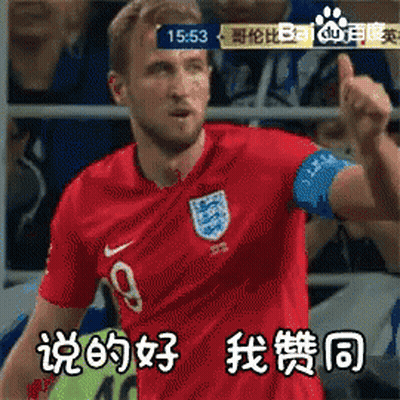 凯恩 英格兰队 三狮军团 说得好 赞同 世界杯 足球 GIF