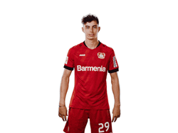 Kai Havertz Double Peace Sign Smile Pose GIF