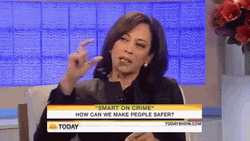 Kamala Harris Explaining GIF