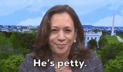 Kamala Harris He's Petty GIF