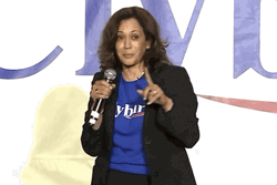 Kamala Harris Laugh On Screen Live GIF