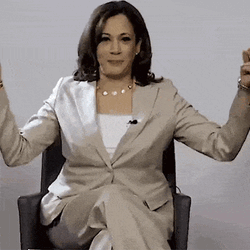 Kamala Harris Vice President GIF