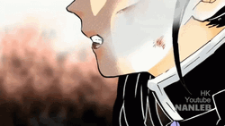 Kanao Demon Slayer Kimetsu Yaiba Fighting GIF