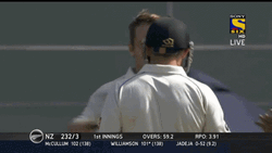 Kane Williamson Brendon Mccullum Hug GIF