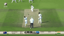 Kane Williamson Cricket Gameplay GIF