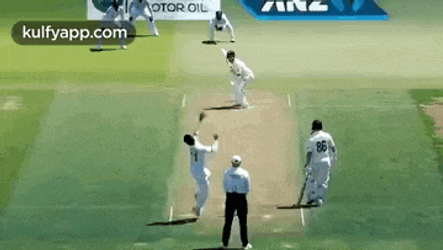 Kane Williamson.Gif GIF