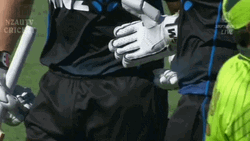 Kane Williamson Ross Taylor Handshake GIF