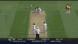 Kane Williamson Strike GIF