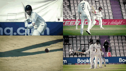 Kanewilliamson Wtcfinal GIF