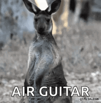 Kangaroo Carrying Baby Kangaroo And Penguin Holding Baby Penguin GIF